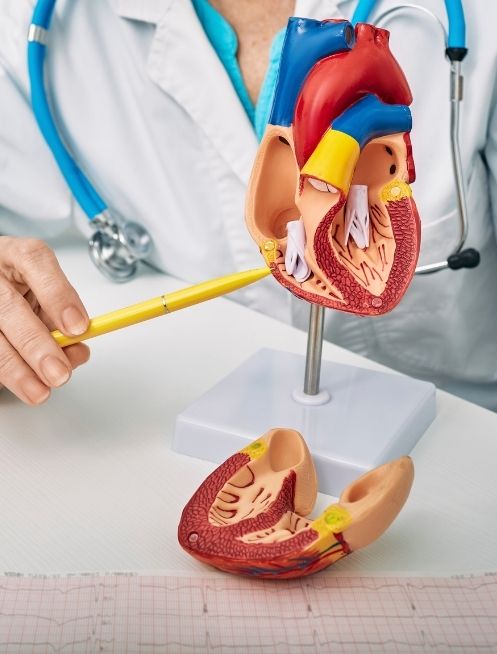cita-con-cardiologo-en-guadalajara-jalisco.jpg